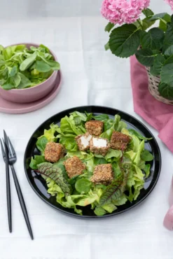 Mäser 931961 Kombiservice Alenia Für 4 Personen, Steinzeug, Schwarz (1 Set, 16-teilig) -Esstisch Lieferungen Rabatte 157ccff3a12489c317253a41a6b0d292 1